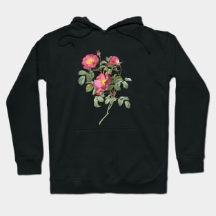 Vintage Rose #2 Hoodie